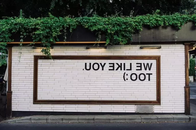 Jak Przedłużyć Książki W Bibliotece Przez Internet?
